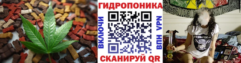 Canna-Cookies марихуана  Чкаловск 