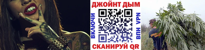 Канабис конопля  купить наркотики цена  Чкаловск 